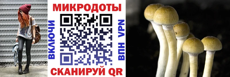 цены наркотик  Мостовской  Галлюциногенные грибы GOLDEN TEACHER 